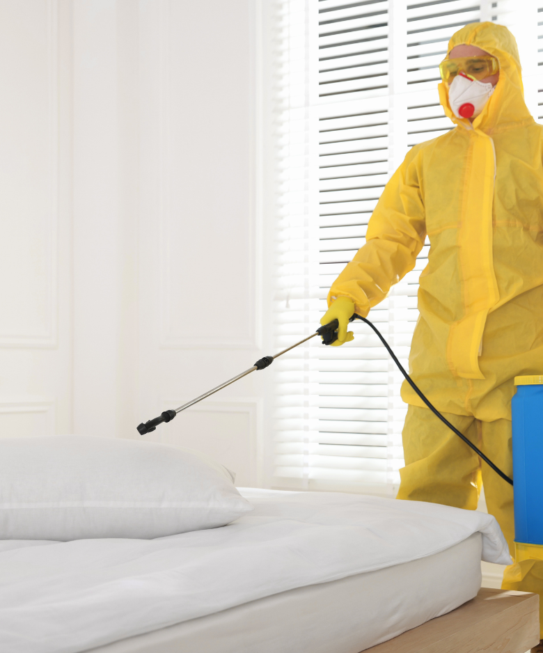 Professional Pest Control Team in Cherryville